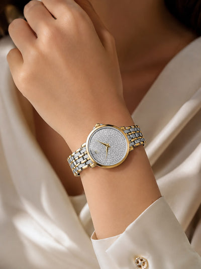 Men's Two-Tone Gold & Silver Luxury Watch